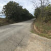 A road next to trees and grass