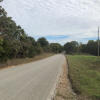 A road next to trees and grass