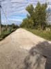 Andrews Ave road view